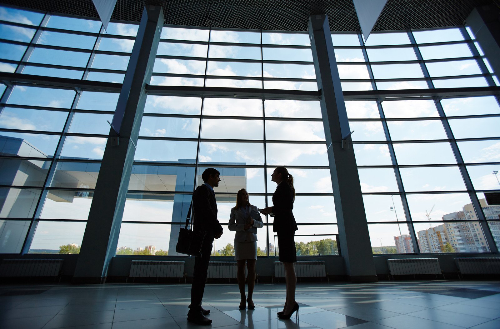 Business professionals in modern office discussing business setup